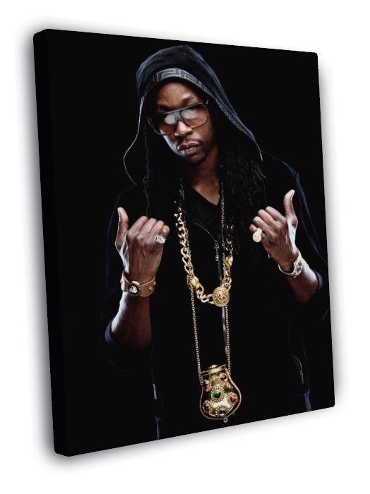 2 Chainz Tauheed Epps Rap Hip-Hop Music Rapper  20x16 inch FRAMED CANVAS WALL PRINT