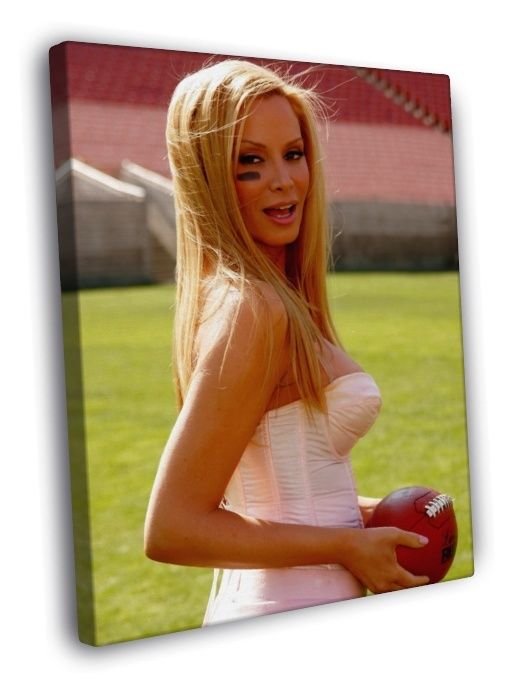 Cindy Margolis Hot Actress Model WALL  20x16 inch FRAMED CANVAS PRINT