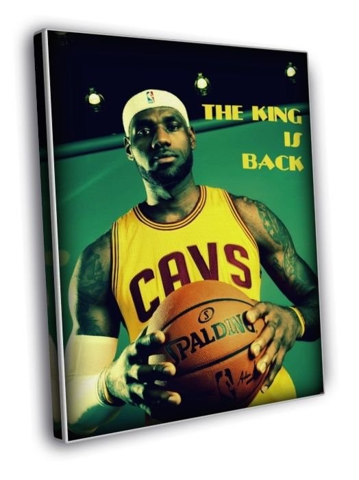 Lebron James The King Back Cleveland Cavaliers Sport  20x16 inch FRAMED CANVAS WALL PRINT