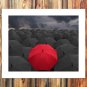 Red umbrella Paintings Decor  20x16 inch FRAMED CANVAS PRINT