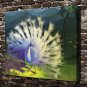 White Peacock Bird Decor  20x16 inch FRAMED CANVAS PRINT