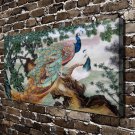 Animal Peacock Oil Decor  20x16 inch FRAMED CANVAS PRINT