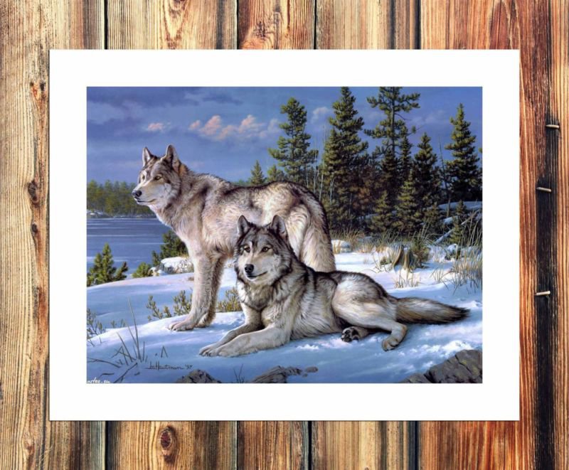 Two wolves Decor  20x16 inch FRAMED CANVAS PRINT