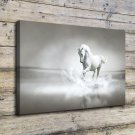 Horse, Cute Animals Decor  20x16 inch FRAMED CANVAS PRINT