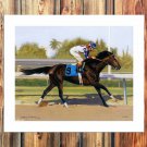 Bay stallion Cigar Paintings Decor  20x16 inch FRAMED CANVAS PRINT