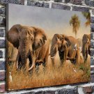 African elephants Paintings Decor  20x16 inch FRAMED CANVAS PRINT