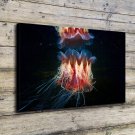 Lion's Mane Jellyfish Decor  20x16 inch FRAMED CANVAS PRINT