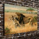 Animal Lion Decor  20x16 inch FRAMED CANVAS PRINT