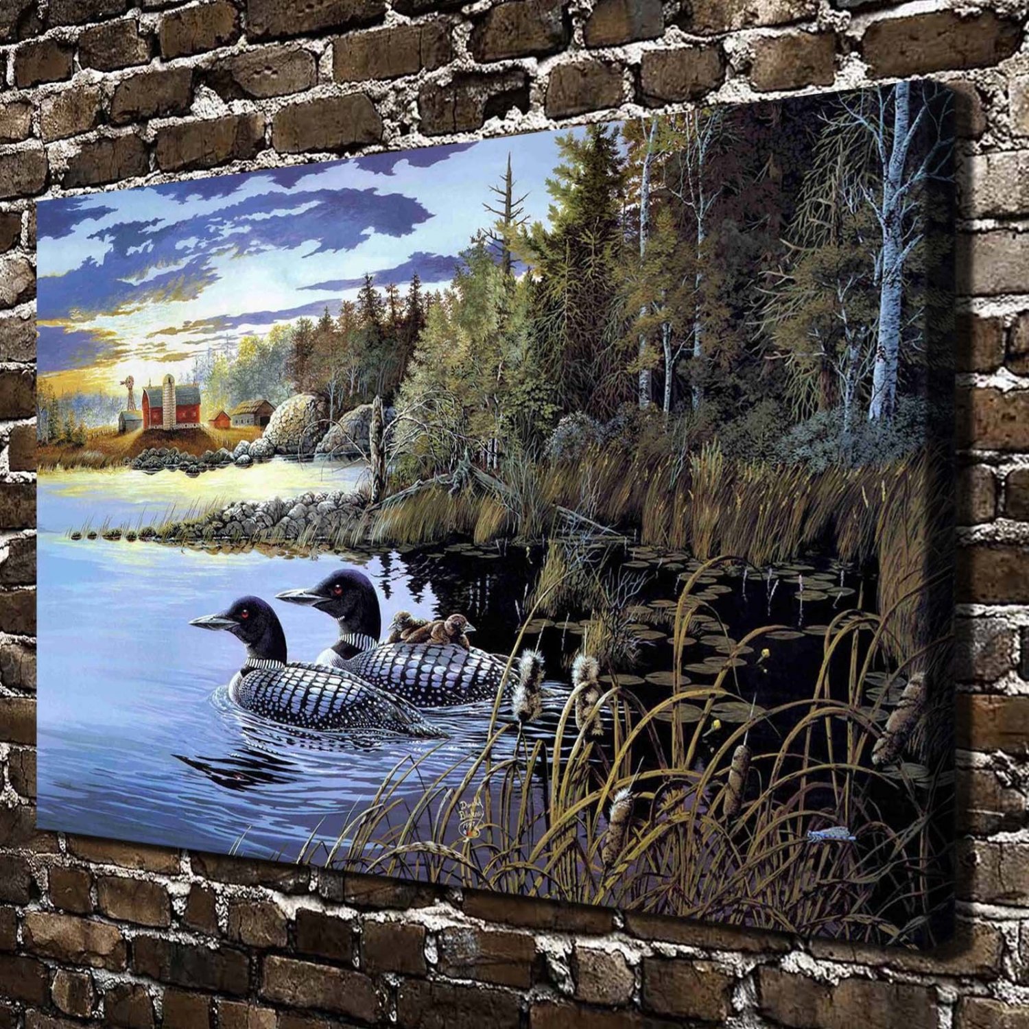 stead Loon Decor  20x16 inch FRAMED CANVAS PRINT