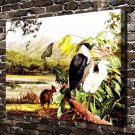Pied heron Bird Animal Decor  20x16 inch FRAMED CANVAS PRINT