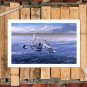Dougla F4 Phantom Decor  20x16 inch FRAMED CANVAS PRINT