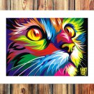 Color eyes Decor  20x16 inch FRAMED CANVAS PRINT