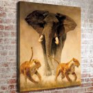46-Animal Life Decor  20x16 inch FRAMED CANVAS PRINT