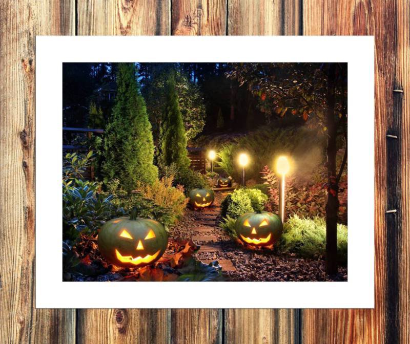 Forested Decor  20x16 inch FRAMED CANVAS PRINT
