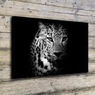 Leopards in the dark Decor  20x16 inch FRAMED CANVAS PRINT