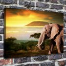 Slon Derevya Afrika Decor  20x16 inch FRAMED CANVAS PRINT
