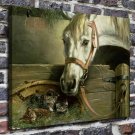 In the stables Decor  20x16 inch FRAMED CANVAS PRINT