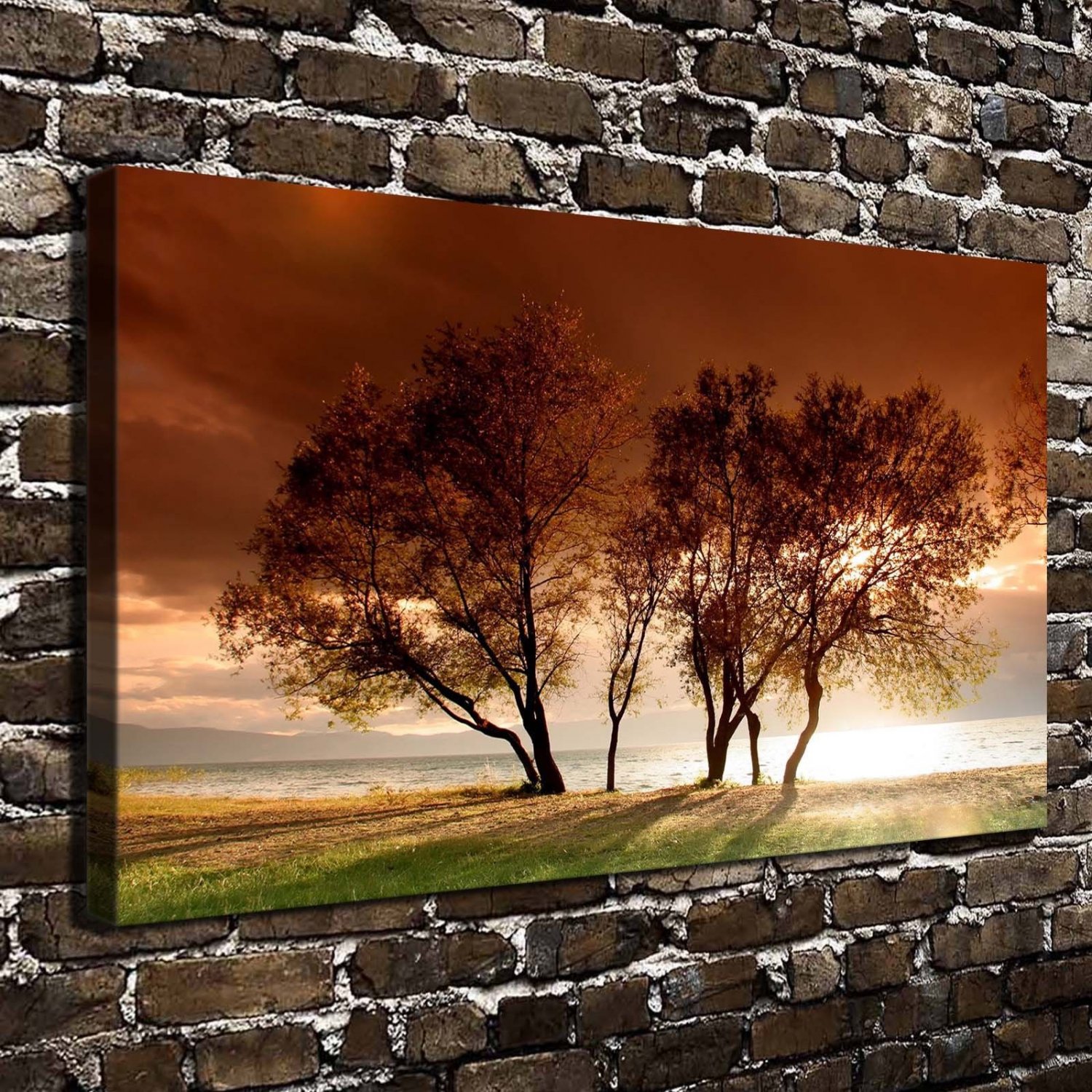 Immortal tree Decor  20x16 inch FRAMED CANVAS PRINT