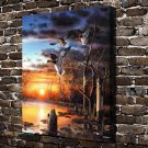 Lake duck Animals Decor  20x16 inch FRAMED CANVAS PRINT