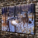 Challenge Deer Animal Decor  20x16 inch FRAMED CANVAS PRINT