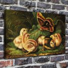 The Animals butterfly Decor  20x16 inch FRAMED CANVAS PRINT