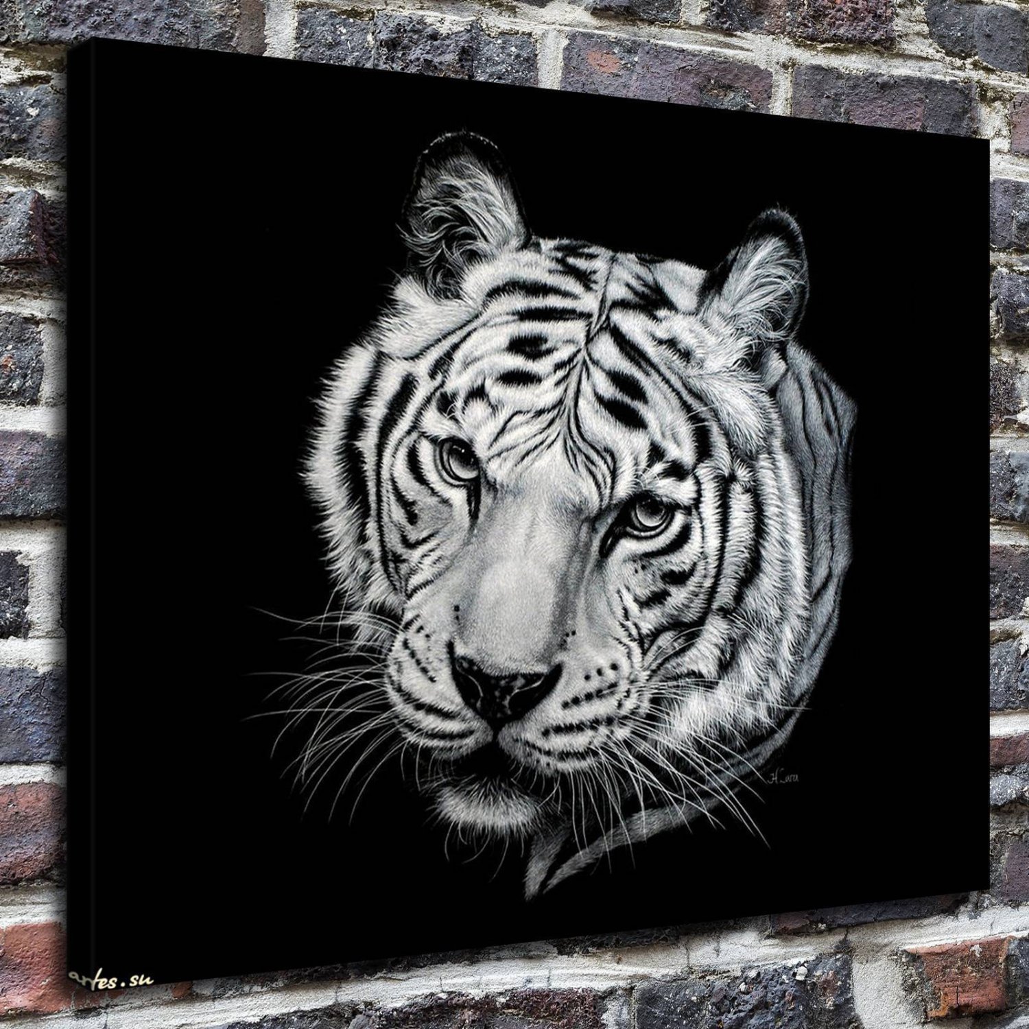 Heather Lara, big cat Decor  20x16 inch FRAMED CANVAS PRINT