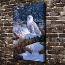 Raptor in White Owl Animal Decor  20x16 inch FRAMED CANVAS PRINT