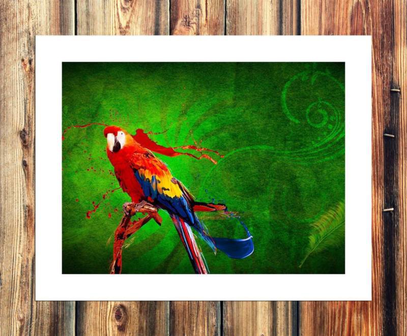 Birds digital Decor  20x16 inch FRAMED CANVAS PRINT