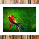 Birds digital Decor  20x16 inch FRAMED CANVAS PRINT