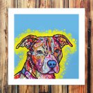 Colorful Decor  20x16 inch FRAMED CANVAS PRINT