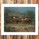 Gerald Harvey Jones Decor  20x16 inch FRAMED CANVAS PRINT