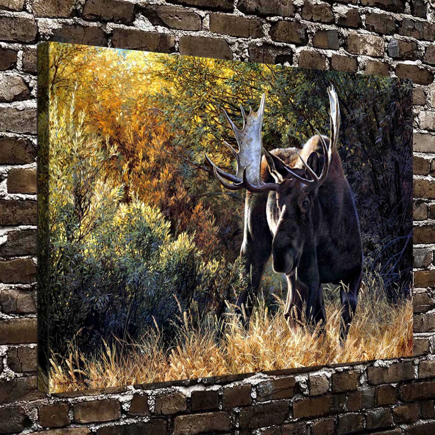 Sudden Encounter Deer Animal Decor  20x16 inch FRAMED CANVAS PRINT