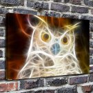 Fire owl Decor  20x16 inch FRAMED CANVAS PRINT