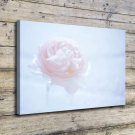 Flower White Decor  20x16 inch FRAMED CANVAS PRINT