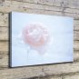Flower White Decor 20x16 inch FRAMED CANVAS PRINT