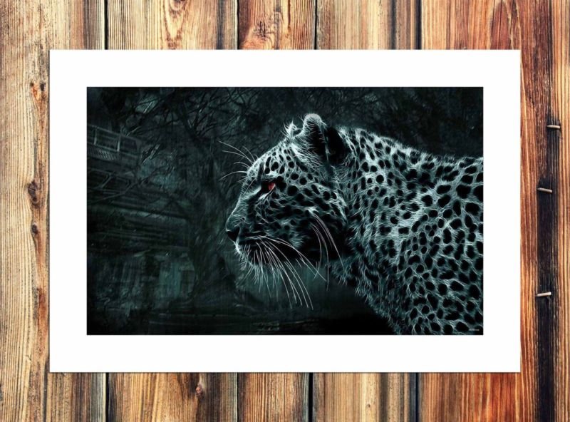 The leopard world Decor  20x16 inch FRAMED CANVAS PRINT