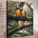 48-Animal Life Decor  20x16 inch FRAMED CANVAS PRINT