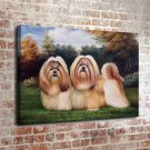 47-Animal Life Decor  20x16 inch FRAMED CANVAS PRINT