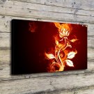 Colourfull Flowers Decor  20x16 inch FRAMED CANVAS PRINT