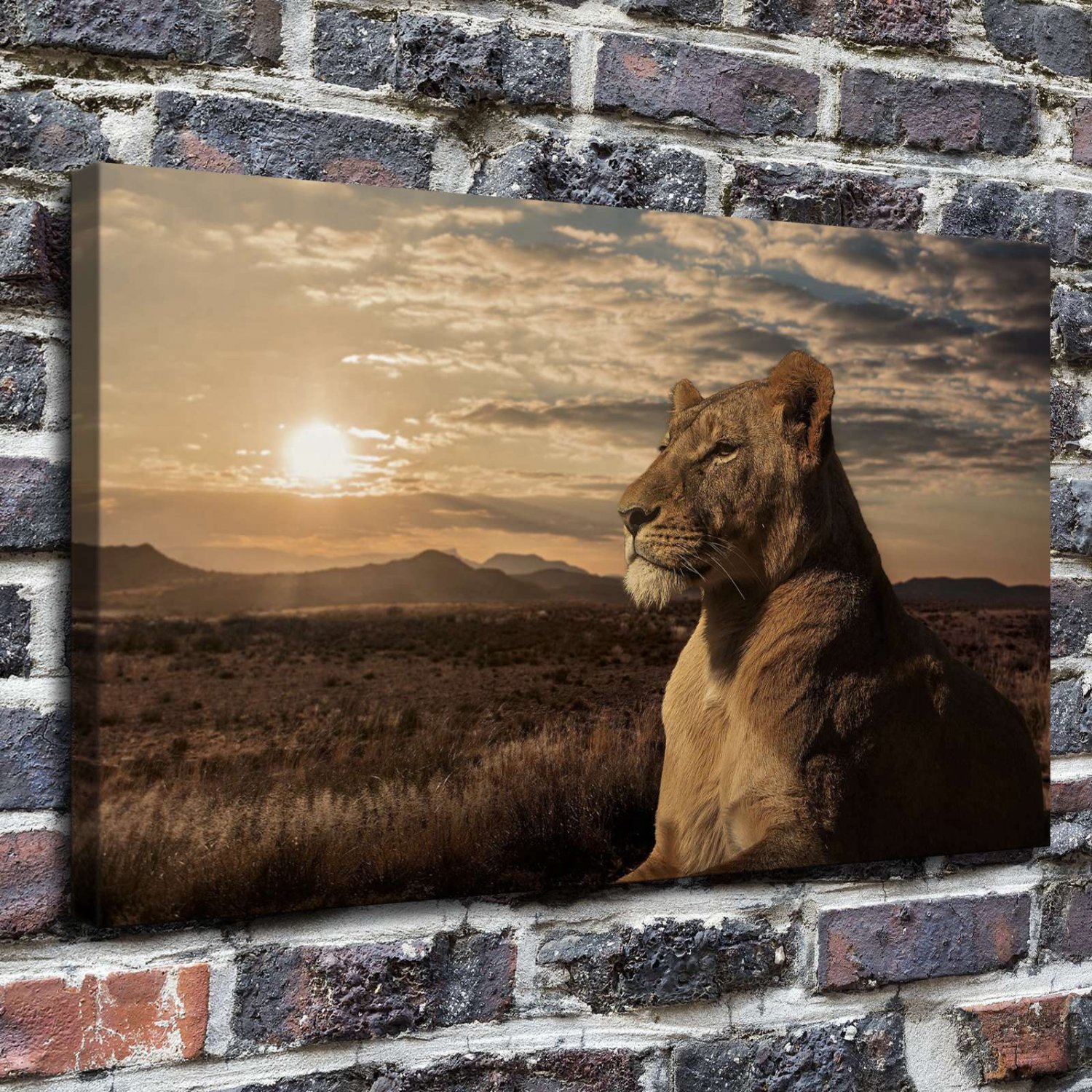 The bright sun Decor  20x16 inch FRAMED CANVAS PRINT