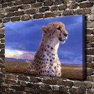 Asiatic Cheetah Decor  20x16 inch FRAMED CANVAS PRINT
