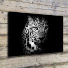 Leopards in the dark Decor  20x16 inch FRAMED CANVAS PRINT