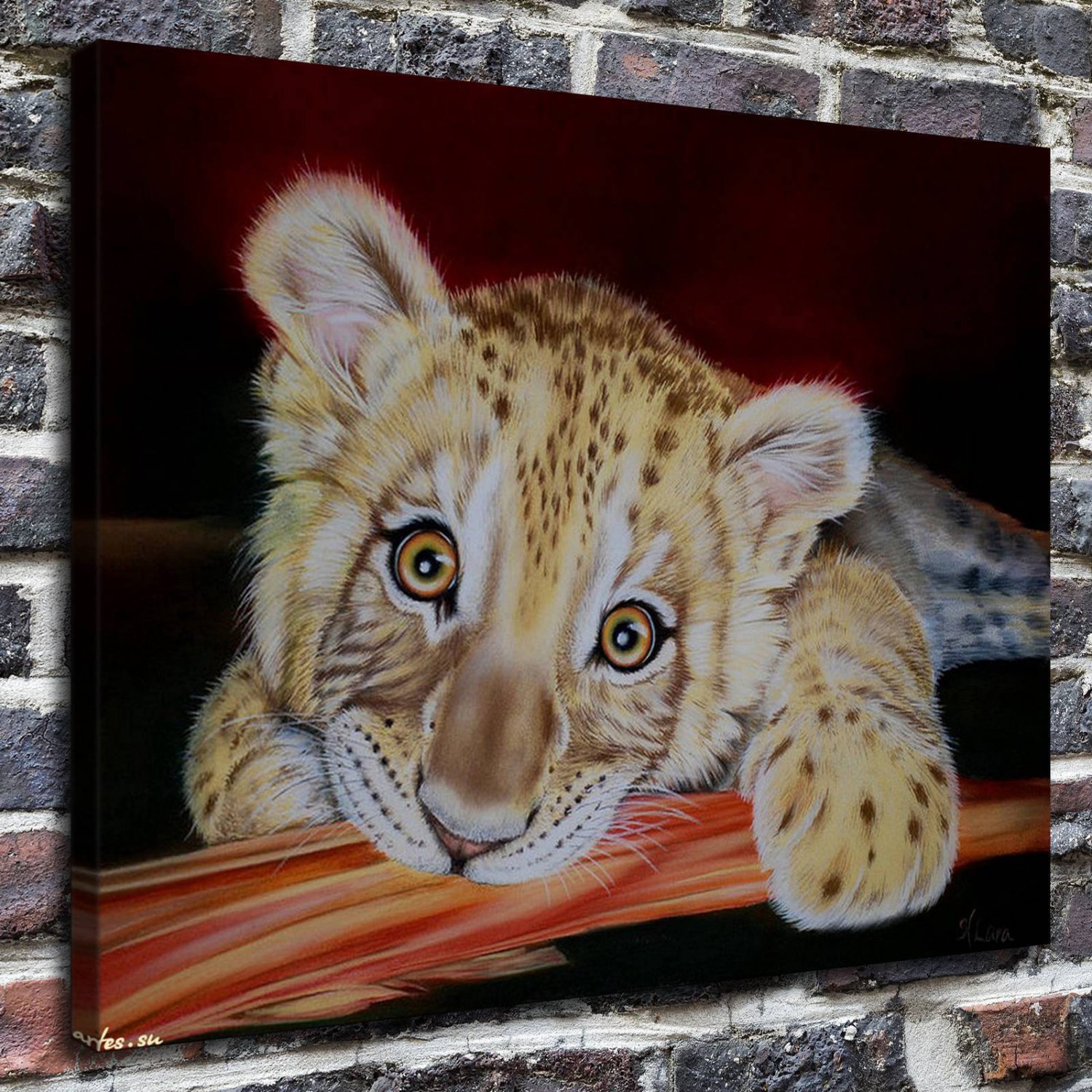Dolphins attraction Decor  20x16 inch FRAMED CANVAS PRINT