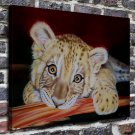 Dolphins attraction Decor  20x16 inch FRAMED CANVAS PRINT