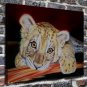 Dolphins attraction Decor  20x16 inch FRAMED CANVAS PRINT