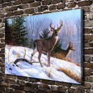 Snowfield Deer Animal Decor  20x16 inch FRAMED CANVAS PRINT
