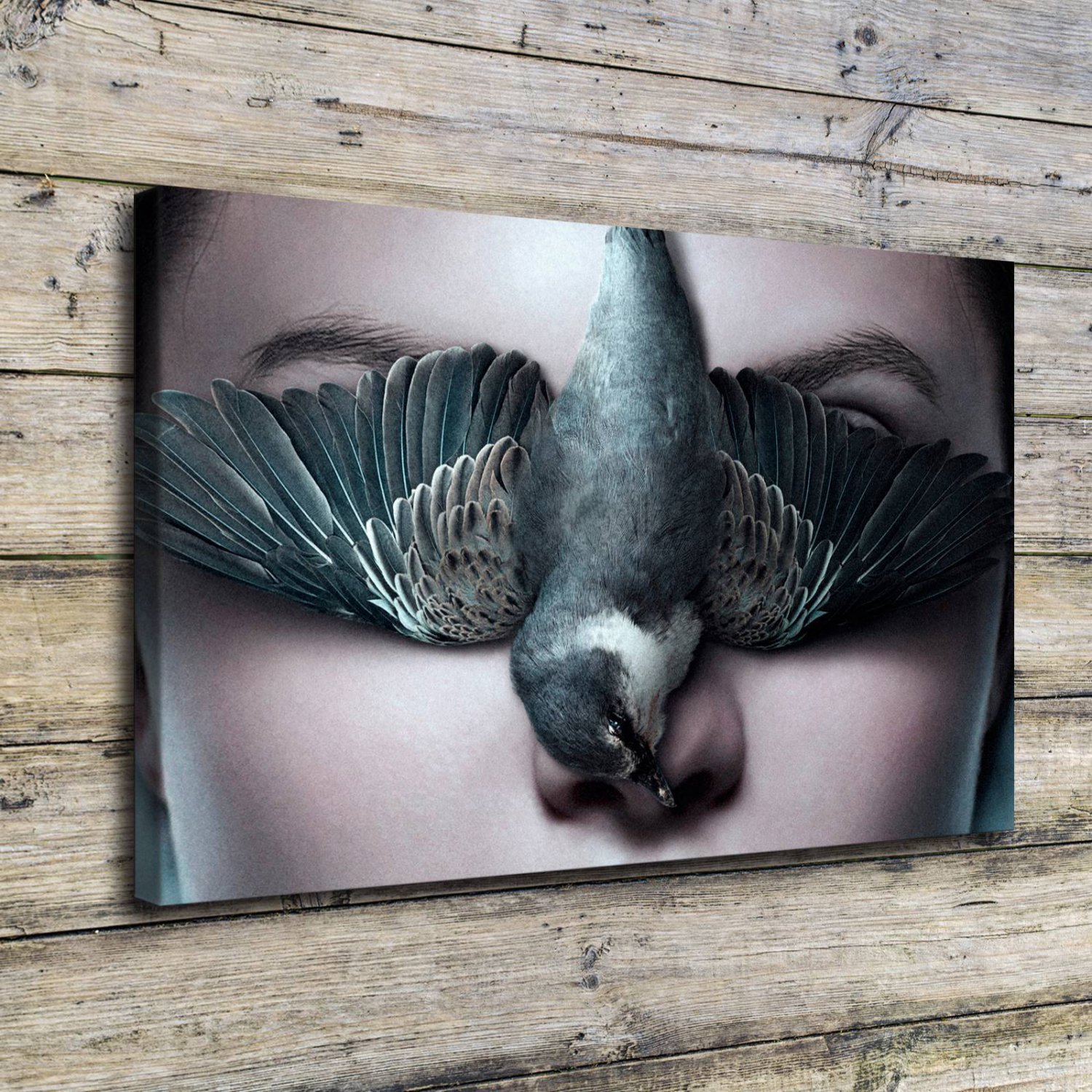 Death Covers The Horizon Decor  20x16 inch FRAMED CANVAS PRINT