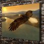 Animal Eagle flying sky Decor  20x16 inch FRAMED CANVAS PRINT