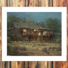 Gerald Harvey Jones Decor  20x16 inch FRAMED CANVAS PRINT