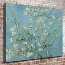 Branches In Bloom Painting Decor  20x16 inch FRAMED CANVAS PRINT